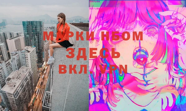 ешки Алексин
