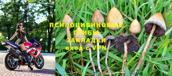 ешки Алексин