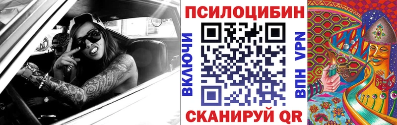 Псилоцибиновые грибы Cubensis  дарнет шоп  Камышин 