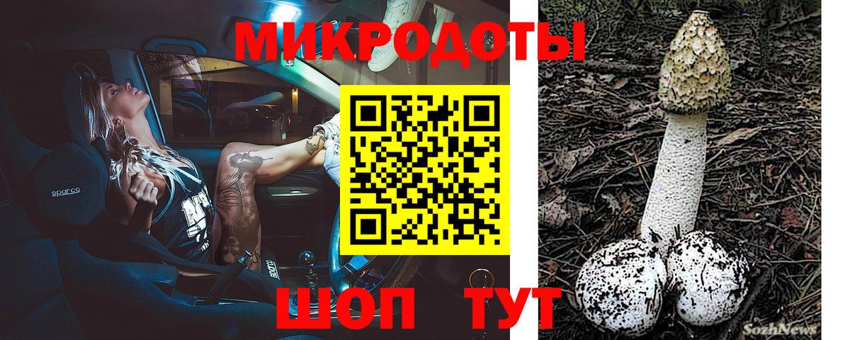 Галлюциногенные грибы Cubensis  Псилоцибиновые грибы мицелий  Вход с VPN  Камышин 