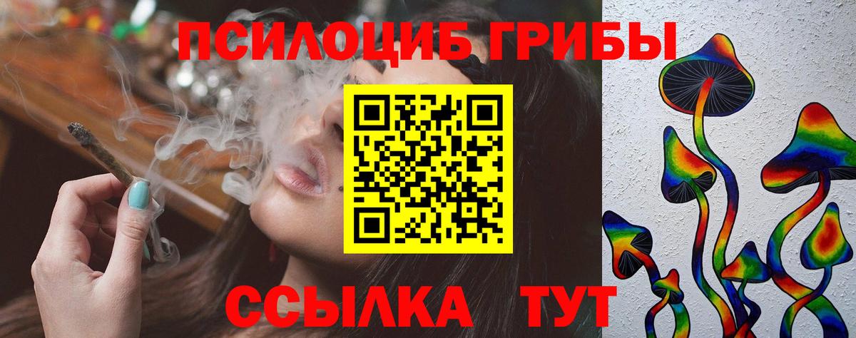 Псилоцибиновые грибы MAGIC MUSHROOMS Камышин